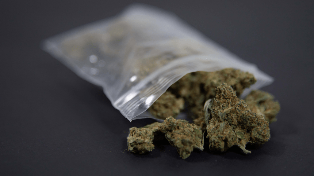 A Green Revolution in the Sunshine State